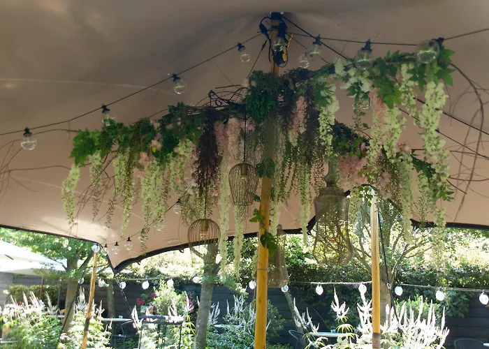 Boutique Mauritz, A Member Of Ql Willemstad (North Brabant)